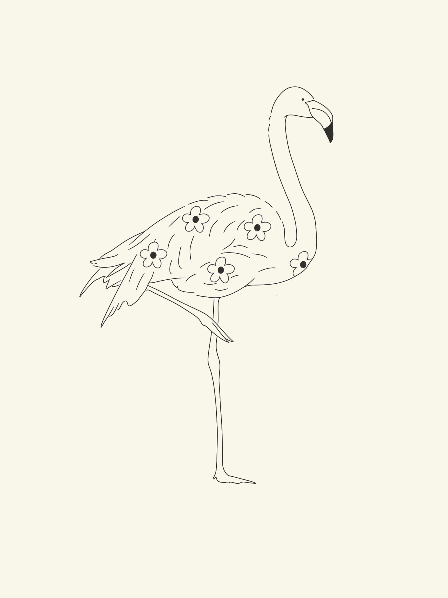 Flamingo