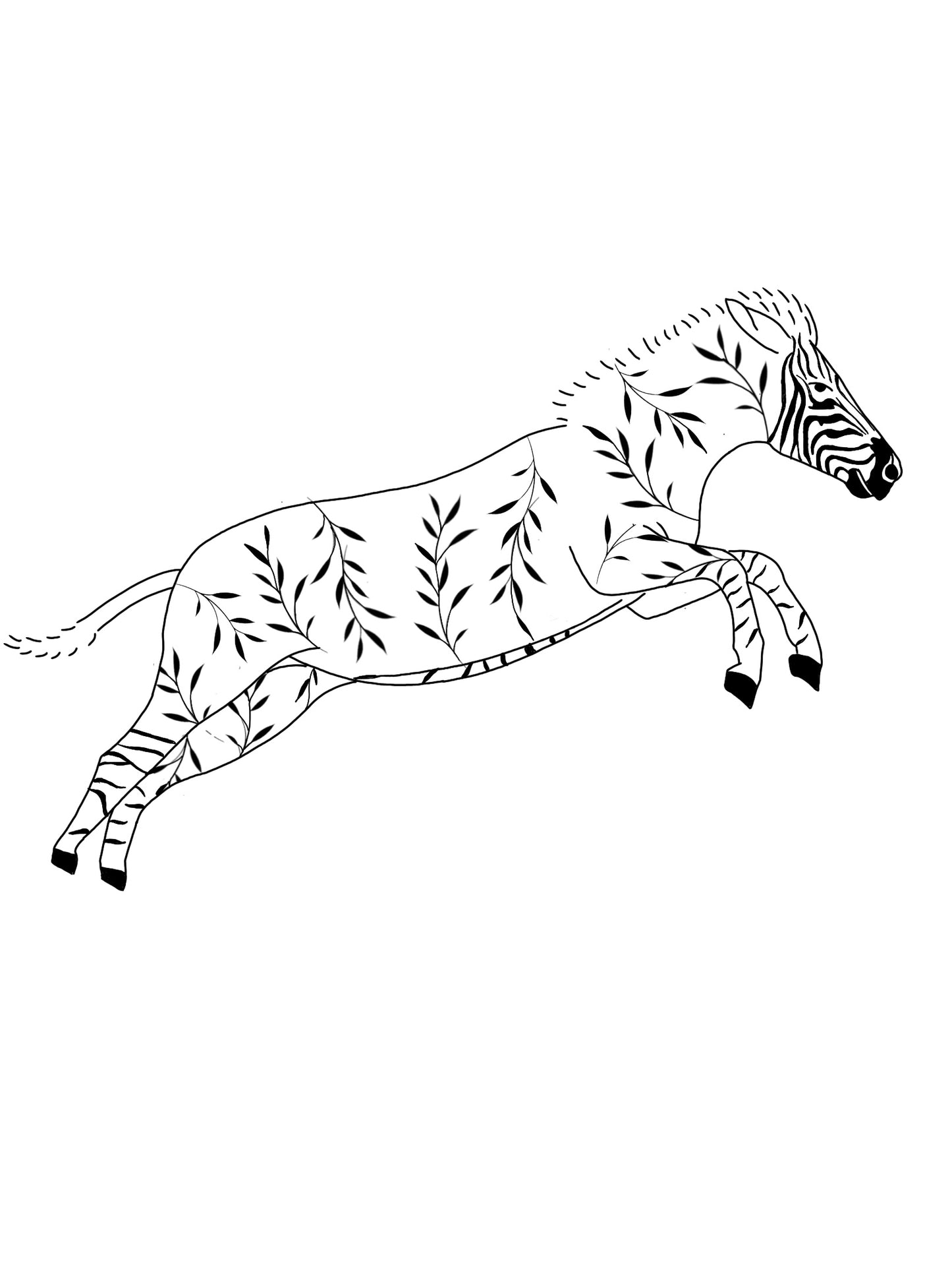 Zebra